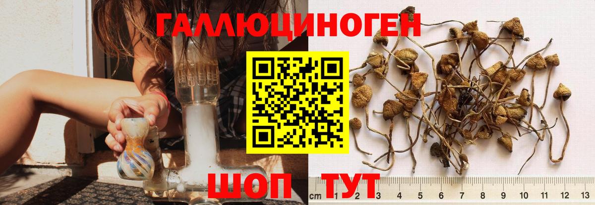 Галлюциногенные грибы GOLDEN TEACHER Губаха