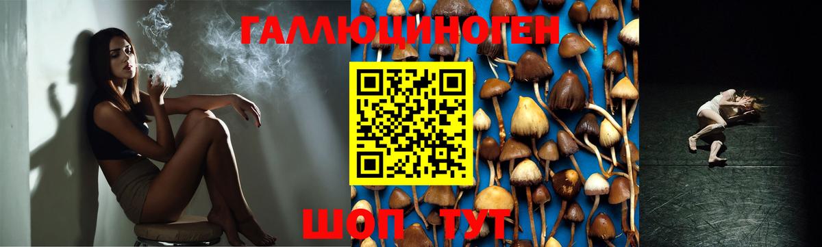 Галлюциногенные грибы MAGIC MUSHROOMS  Вход с VPN  Губаха 