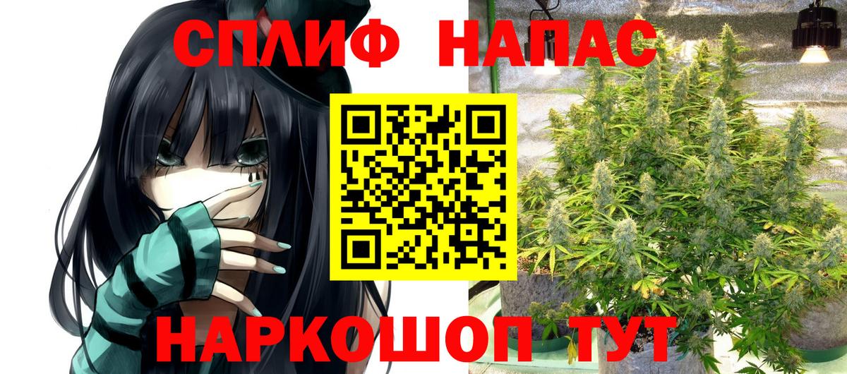 Марихуана Amnesia  Марихуана гибрид  МАРИХУАНА сатива  Вход с VPN  Губаха 